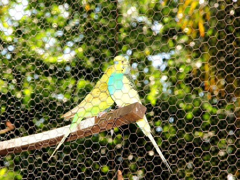 صورة الفندق 20