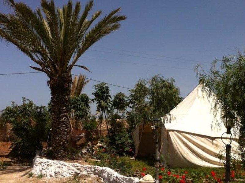صورة الفندق 13