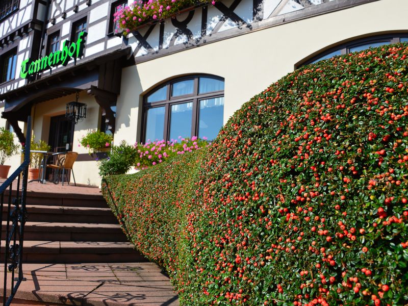Hotel Photo 18