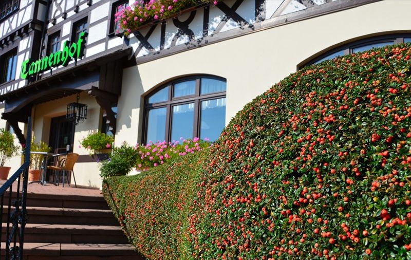 Hotel Photo 19