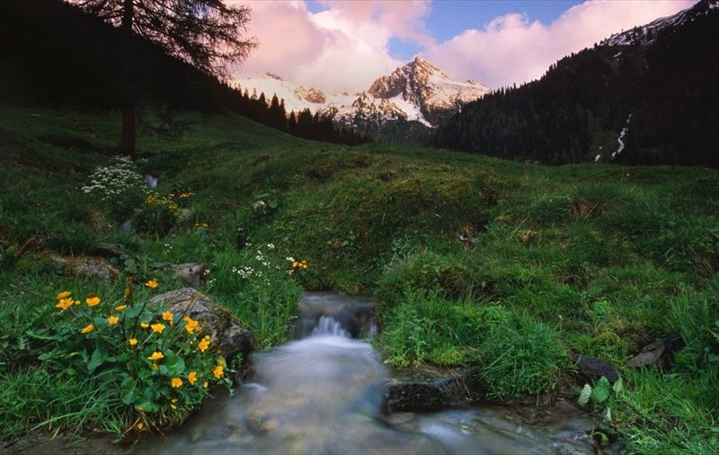 صورة الفندق 5