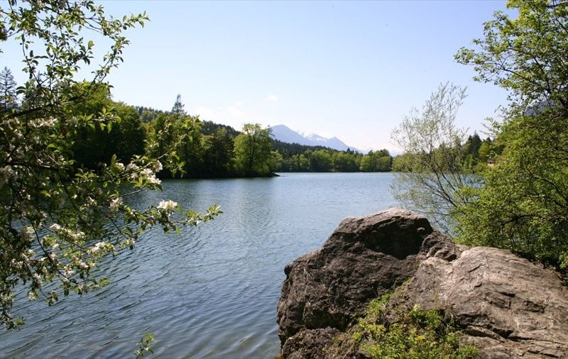 صورة الفندق 10
