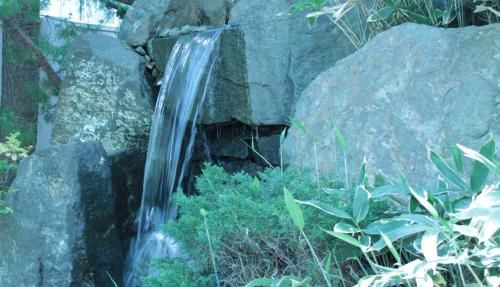 صورة الفندق 24