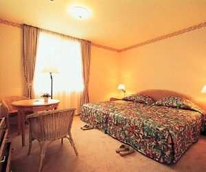 Palace Hotel Hakone Hakone Japan