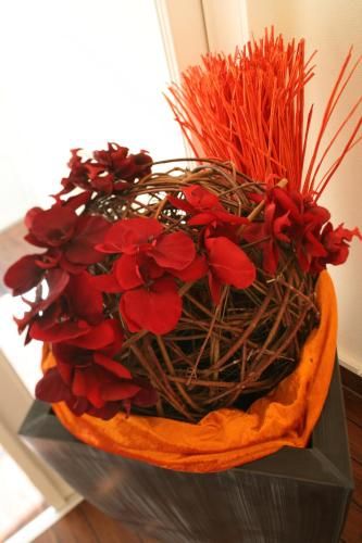 صورة الفندق 18