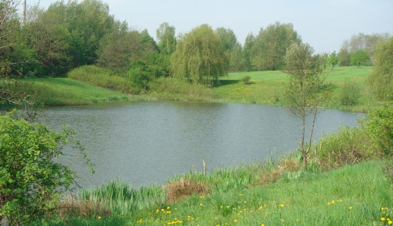 صورة الفندق 10