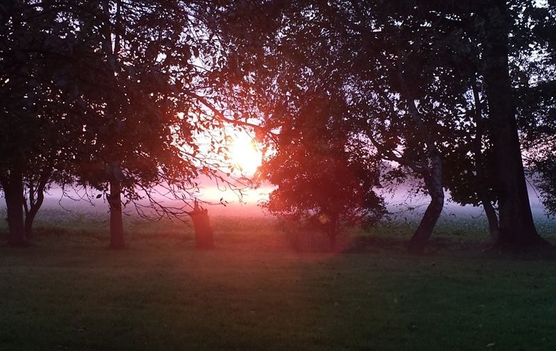 صورة الفندق 4