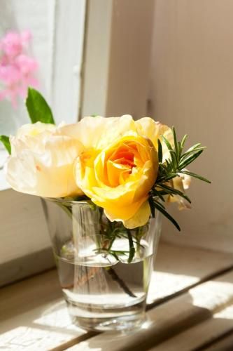 صورة الفندق 15