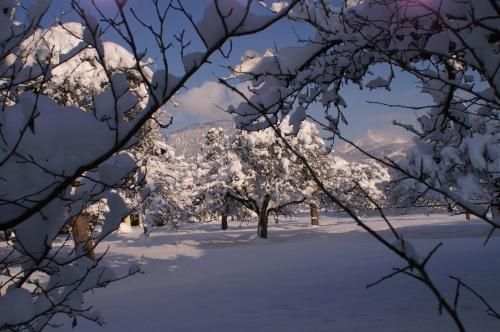 صورة الفندق 18