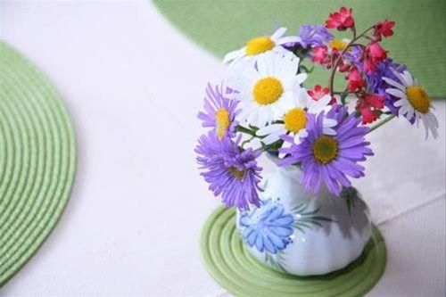 صورة الفندق 14