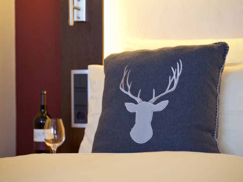 Hotel Photo 21