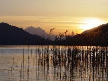 صورة الفندق 18