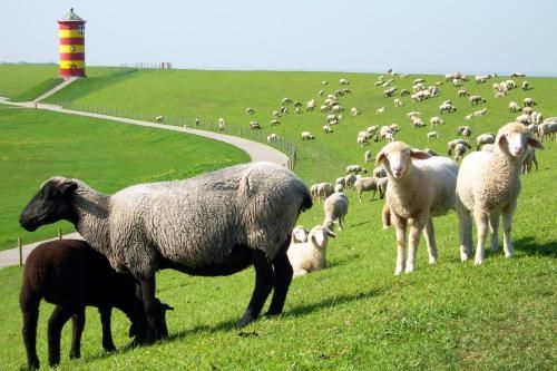 صورة الفندق 24