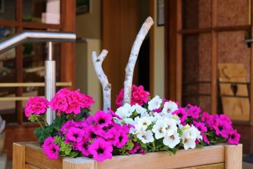 صورة الفندق 15