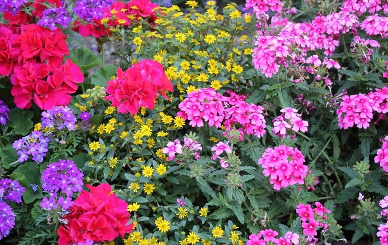 صورة الفندق 18
