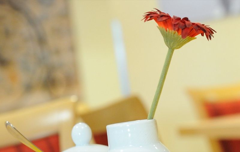صورة الفندق 15