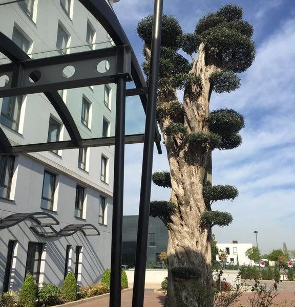 Hotel Photo 23