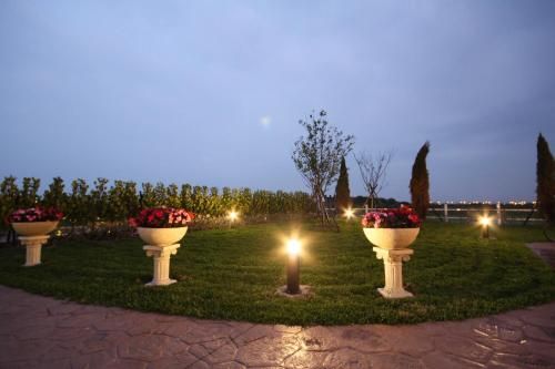 صورة الفندق 16