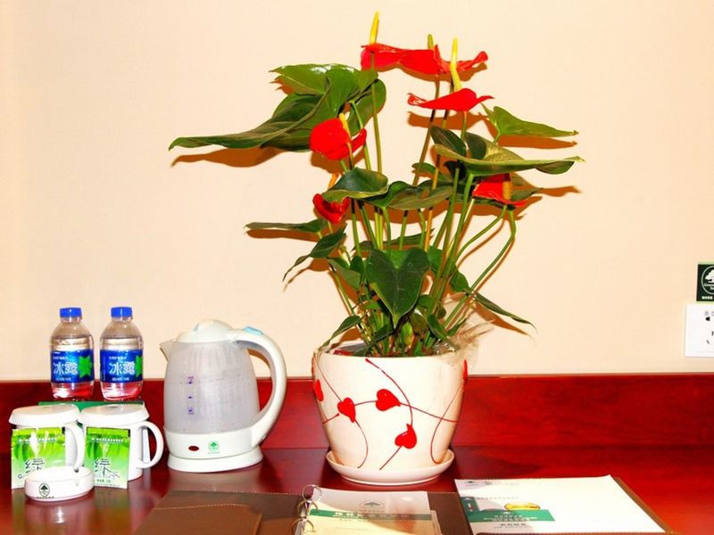 صورة الفندق 12