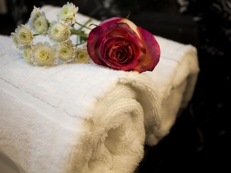 صورة الفندق 16