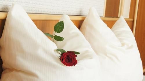 صورة الفندق 4