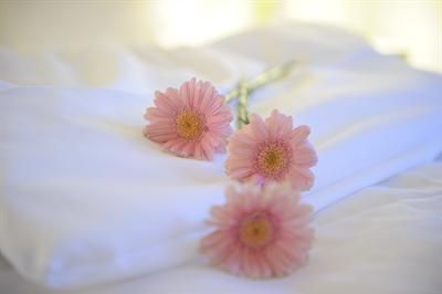 صورة الفندق 16