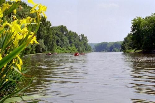 صورة الفندق 6