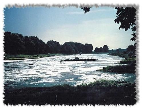 صورة الفندق 7