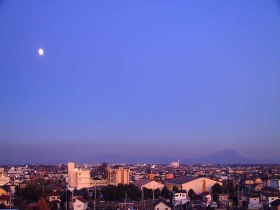 صورة الفندق 24