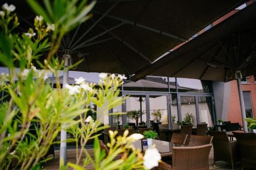 صورة الفندق 24