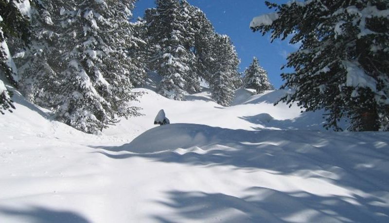 صورة الفندق 12