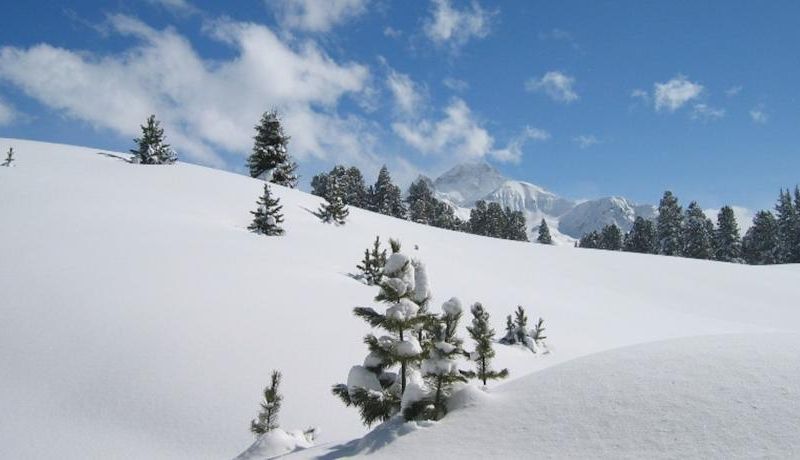 صورة الفندق 24