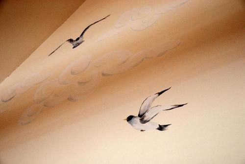 صورة الفندق 22