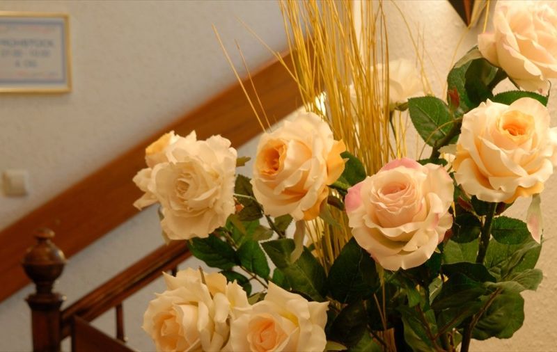 صورة الفندق 14