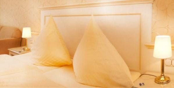 صورة الفندق 4
