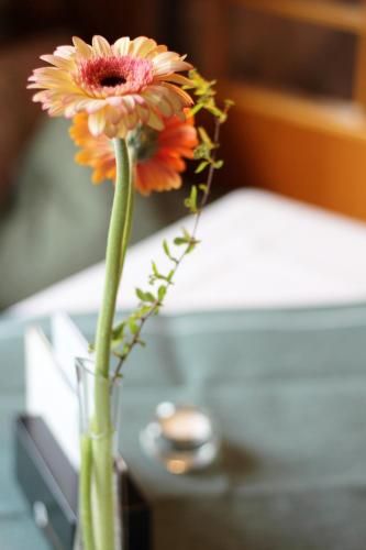 صورة الفندق 17