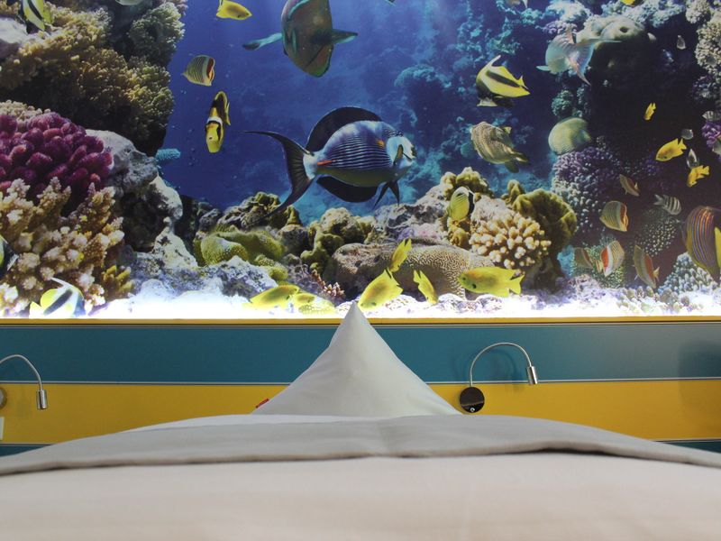 Hotel Photo 15