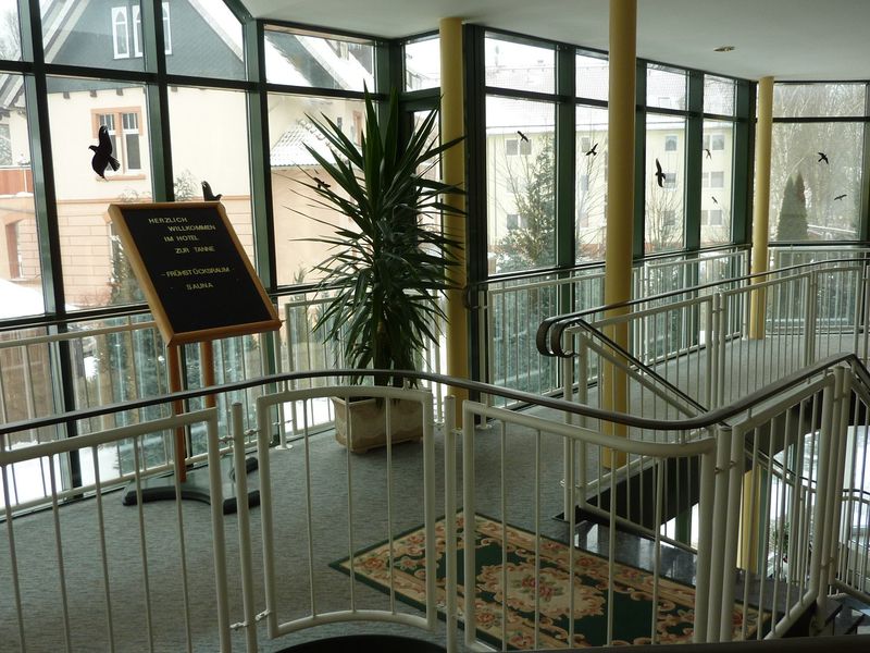Hotel Photo 14