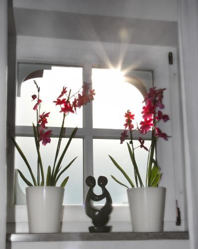 صورة الفندق 6