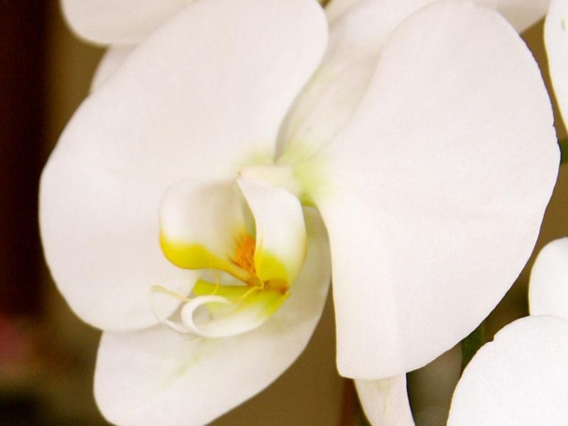 صورة الفندق 15