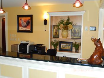 Hotel Photo 16