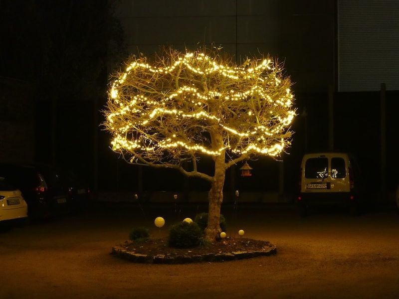 صورة الفندق 20