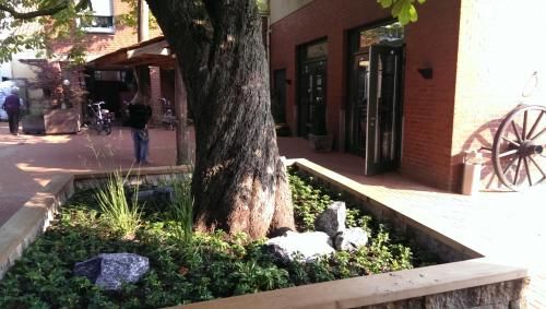 Hotel Photo 22