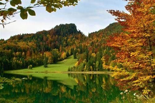 صورة الفندق 21