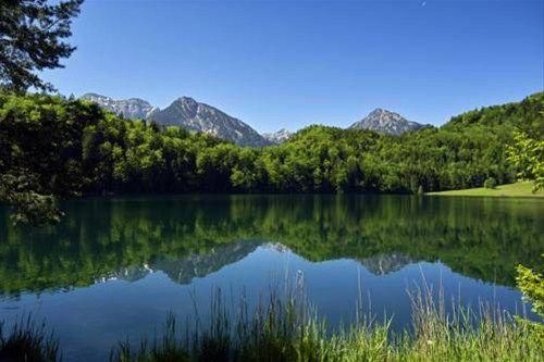 صورة الفندق 24