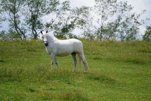 صورة الفندق 20