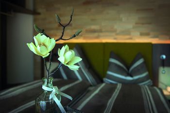 صورة الفندق 17