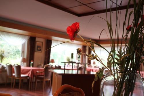 صورة الفندق 10