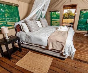 Shindzela Tented Camp Thornybush Game Reserve South Africa