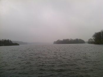 صورة الفندق 21